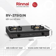 RV375GN12